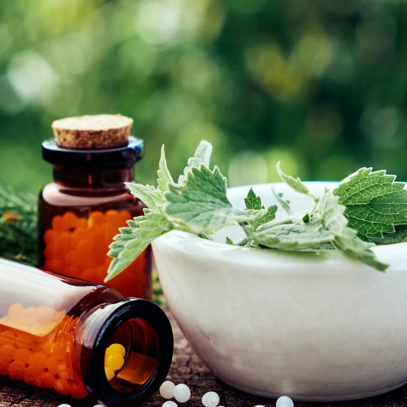 L’homéopathie et ses particularités en médecine vétérinaire