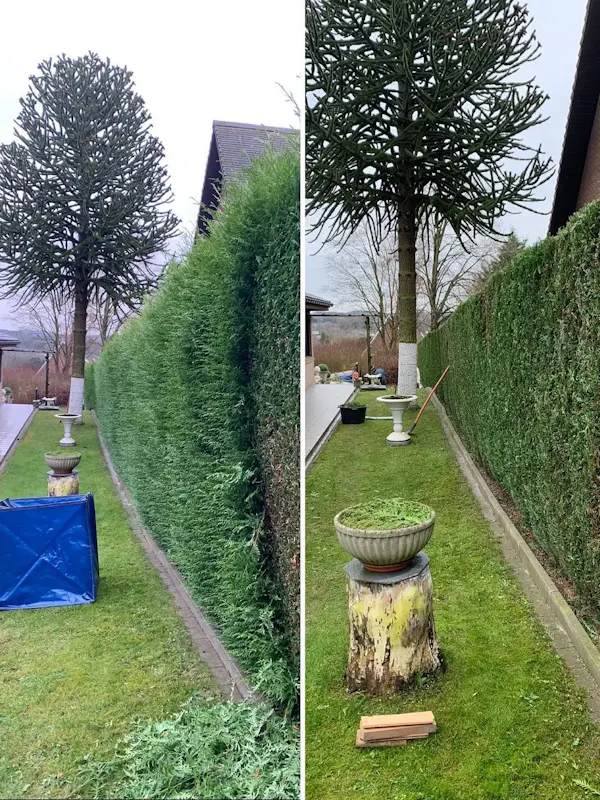 Before and after: discover our past projects