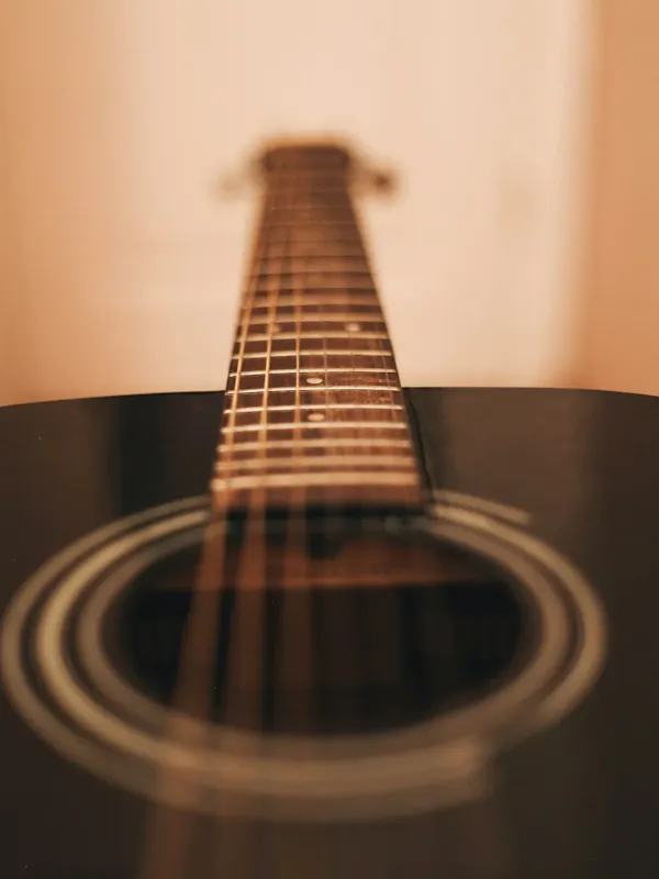 🎶 Soirée musicale avec Véronique