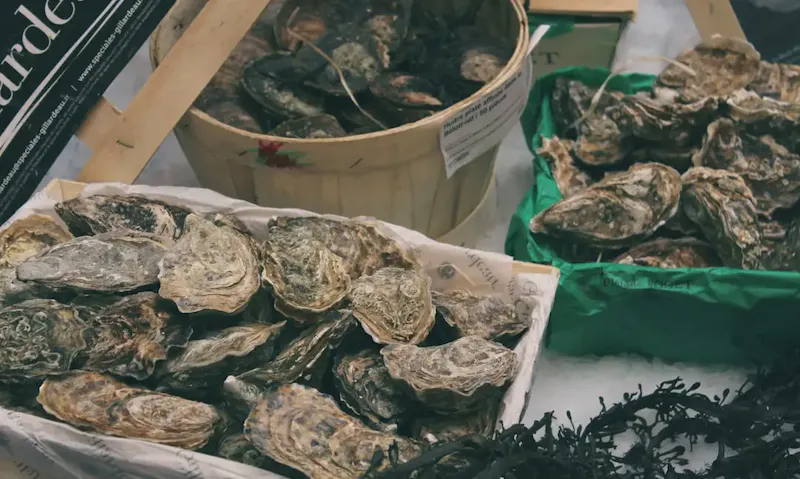 Image of L'Ecailler de Liège oysters on bucket and tray | Photo by Aime Cox-Tennant, on https://unsplash.com/@aimecx?utm_source=centralapp&utm_medium=referral