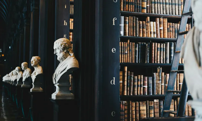 book lot on black wooden shelf | Photo de Giammarco Boscaro, sur https://unsplash.com/@giamboscaro?utm_source=centralapp&utm_medium=referral
