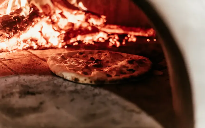 Image of FARINE E VIGNETI burning wood | Photo by Arthur Brognoli, on https://unsplash.com/@arthurbrognoli?utm_source=centralapp&utm_medium=referral