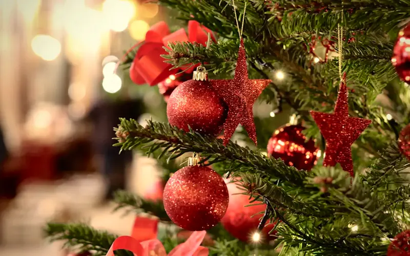 Image of WOK IN a christmas tree with ornaments | Photo by Fabien Maurin, on https://unsplash.com/@fabienmaurin?utm_source=centralapp&utm_medium=referral