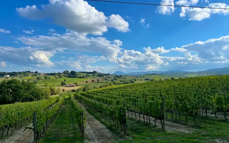 Image of Ristorante Podere La Paolina A field of green grass with a sky in the background | Photo by Daniel Alter, on https://unsplash.com/@danielalter?utm_source=centralapp&utm_medium=referral