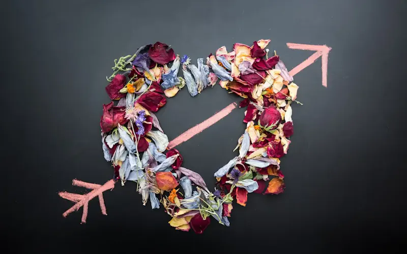 Photo de Le Coq en Pâte heart shaped flower arrangement | Photo de Denise Johnson, sur https://unsplash.com/@auntneecey?utm_source=centralapp&utm_medium=referral