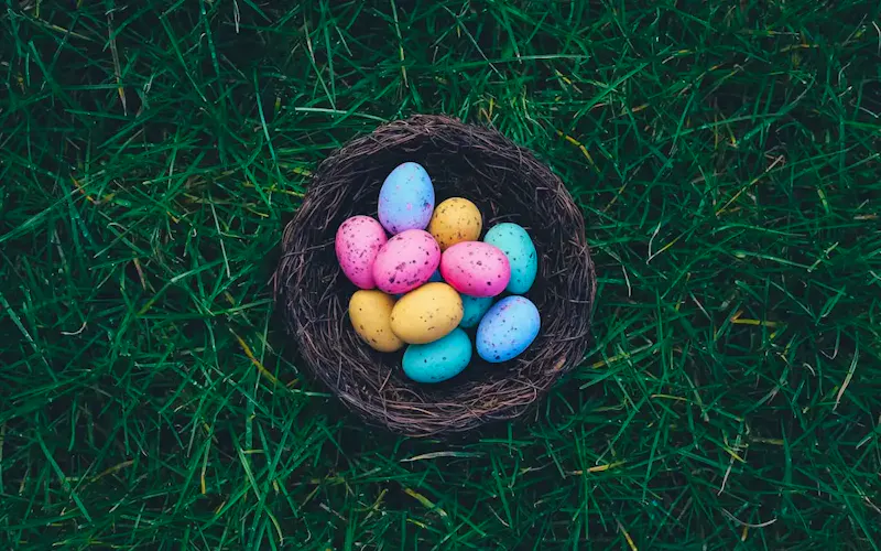 Easter Eggs on brown nest | Photo de Annie Spratt, sur https://unsplash.com/@anniespratt?utm_source=CentralApp&utm_medium=referral