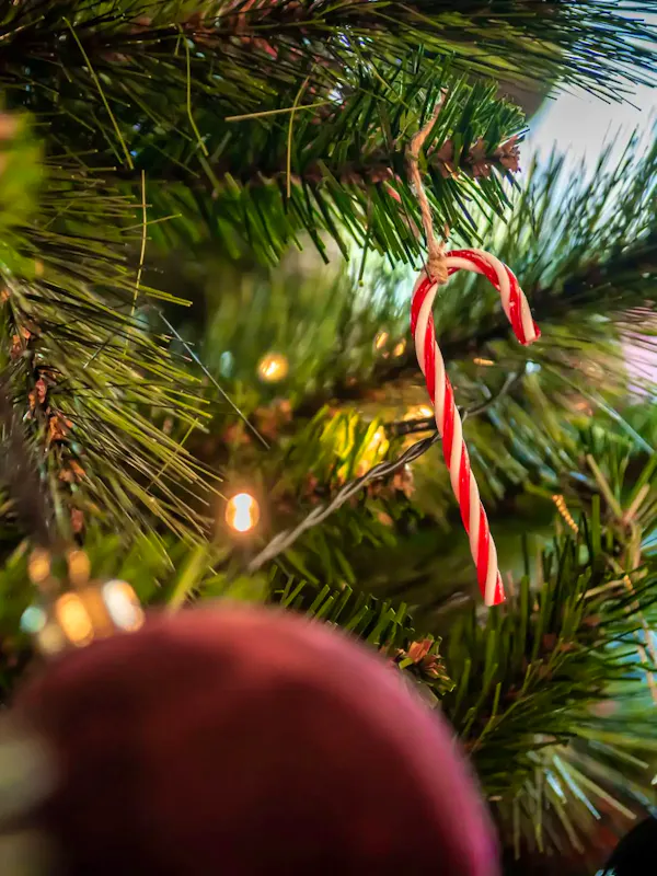 Réveillon de Noël
