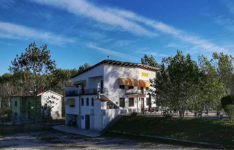 Foto di La Zanzarina D'Oro
