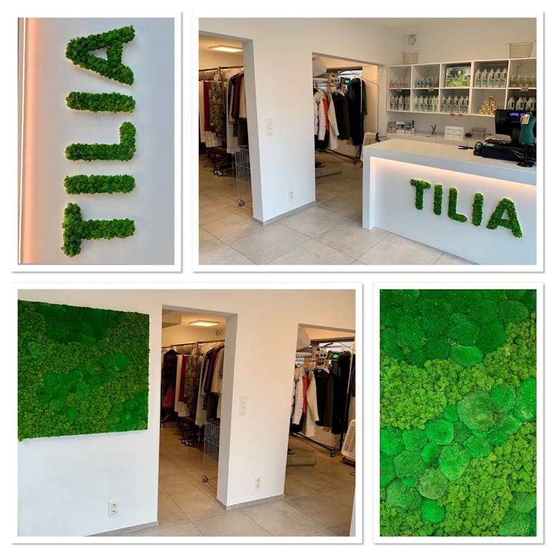 Image of Tilia Pressing