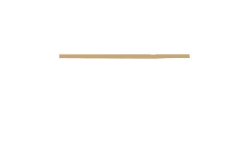 Image of L'Alchimiste
