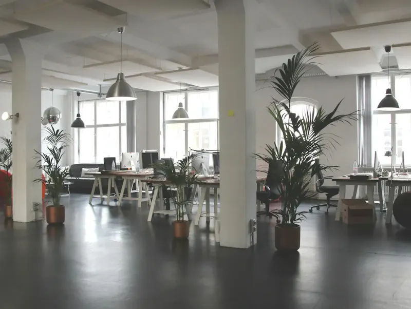 Spacious modern office interior with desks, plants, and natural lighting in Berlin. | Photo by Marc Mueller, on https://www.pexels.com/@seven11nash?utm_source=centralapp&utm_medium=referral