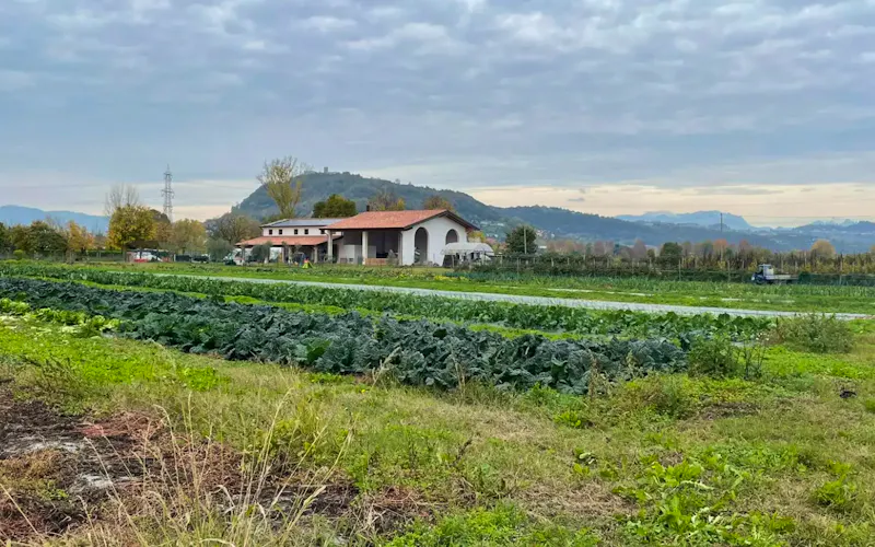 Image of Agriturismo Agli Orti