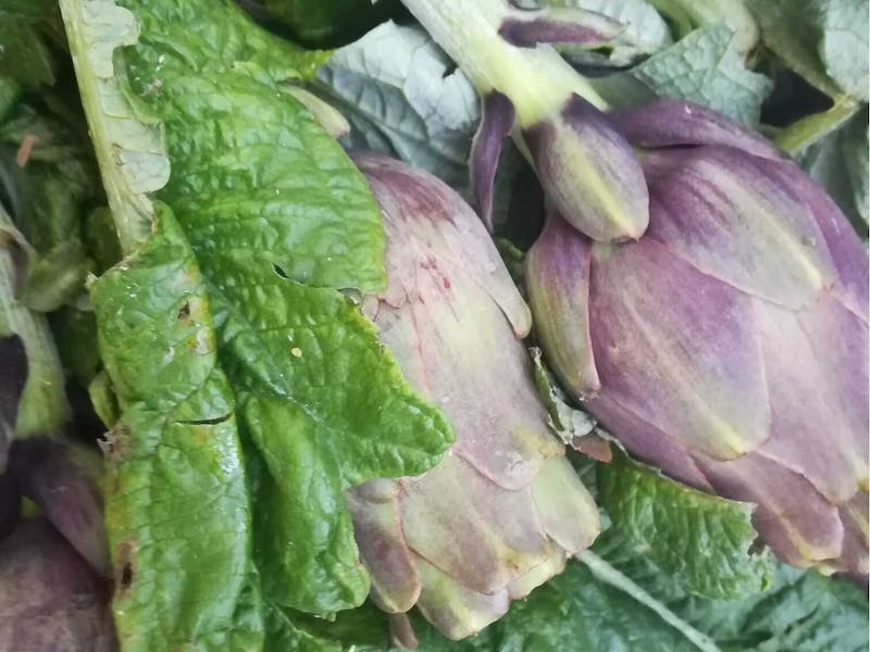 légumes bio en conserve