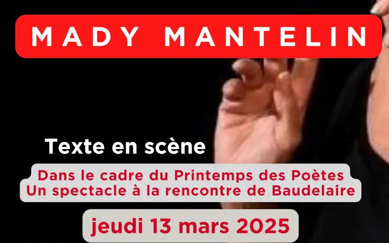 Photo de LE MACAREUX 