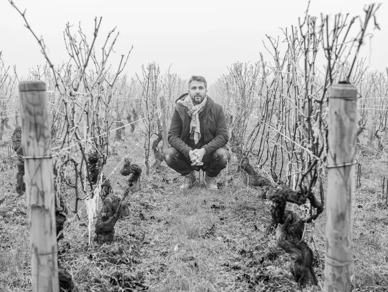 Rencontre avec Gautier Desvignes, Domaine Desvignes