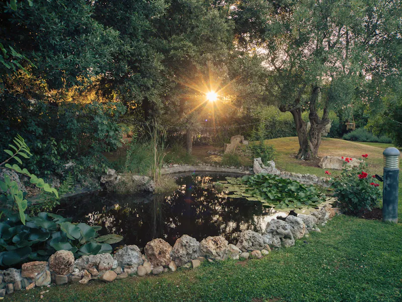 Image of Ristorante Fidelio