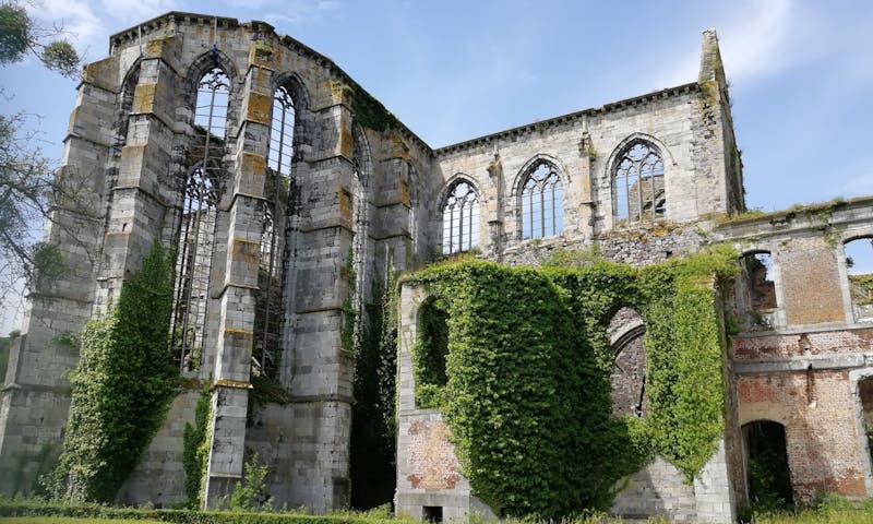 Visite guidée à l'Abbaye d’Aulne à travers le regard du moine Cyprien
