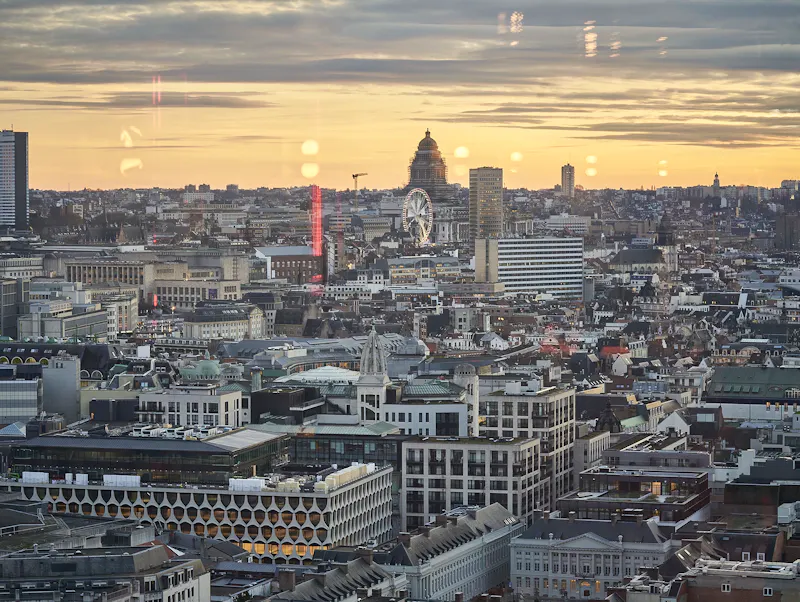 Ontdek waarom sushi en Japanse gerechten beter smaken in een rooftop restaurant, waar uitzicht, sfeer en psychologie samenkomen boven Brussel.