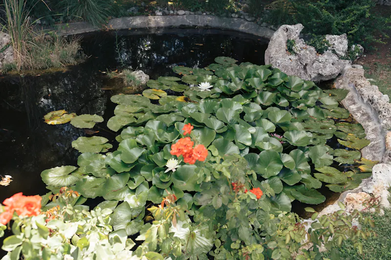 Ristorante Fidelio, Alberobello, giardino, ristorante con giardino, dehors, giardino incantato, cena all'aperto, area esterna, giardino romantico, mangiare fuori, atmosfera estiva, trulli con giardino, relax, spazio aperto, natura, Puglia all'aperto, location con giardino, veranda, giardino privato, oasi nel verde, cena sotto le stelle, ristorante tipico, cucina pugliese, Valle d'Itria, dove mangiare ad Alberobello.