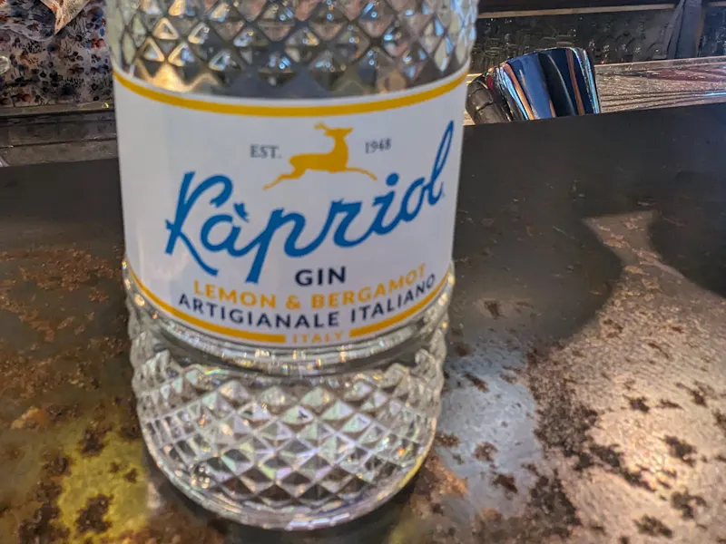 Gins Italie & France