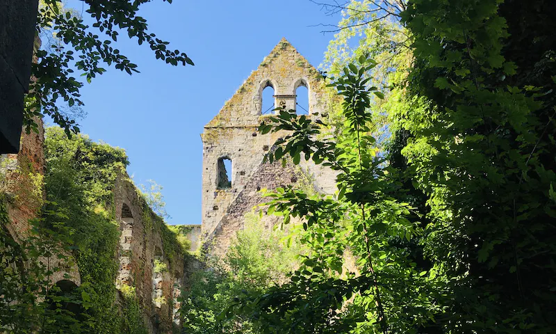 Image of Abbaye d'Aulne Image of Abbaye d'Aulne