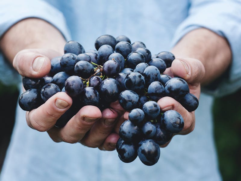 Nous mettons à l'honneur depuis le premier jour les vins de notre région natale, voici quelques explications pour venir les déguster chez nous !