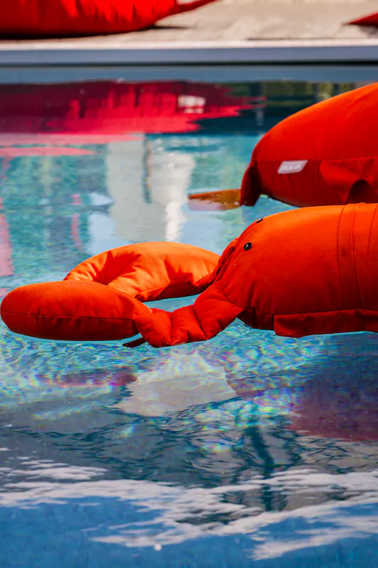Image of Coco les pieds dans l'eau