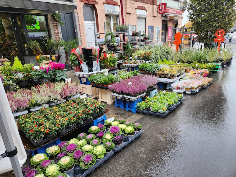 Photo de Exotic Garden