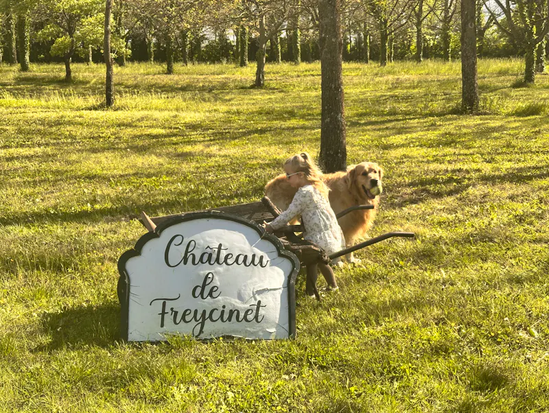 Foto von Rose Restaurant - Château de Freycinet