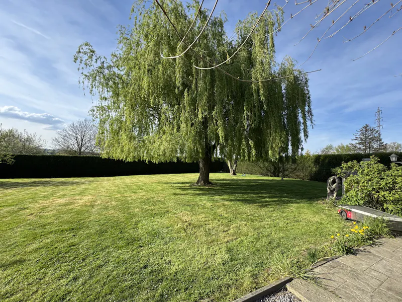 Image of DH - Jardin Design
