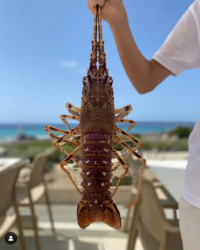 Photo de Maysi Restaurant and Bar
