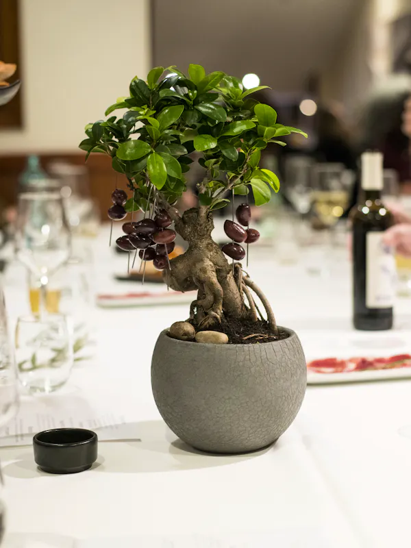Discover our menus