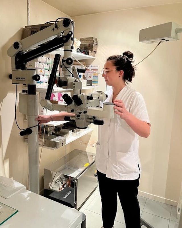 Notre auxiliaire vétérinaire diplômée (accueil – infirmerie – chirurgie) vous accueille, vous conseille à la vente, m’aide lors des examens complémentaires, gère une partie de l’anesthésie, veille aux soins et au confort des animaux hospitalisés…

Son action est primordiale, son dévouement est total, et ses tâches pas toujours aisées.

Nos compagnons et moi-même lui devons beaucoup.