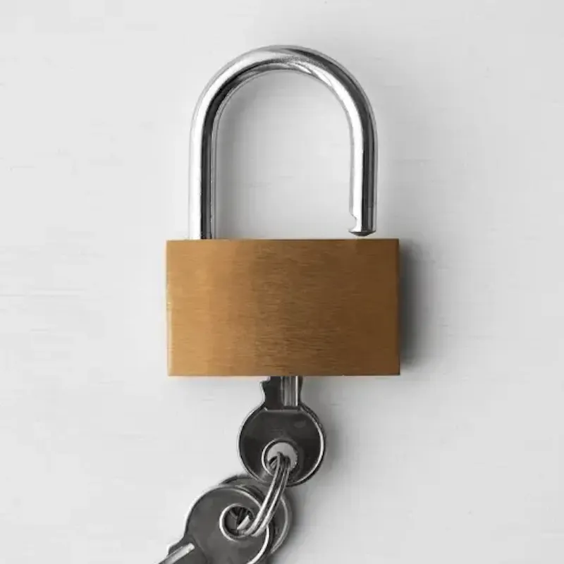 Mécanisme de serrure de sécurité