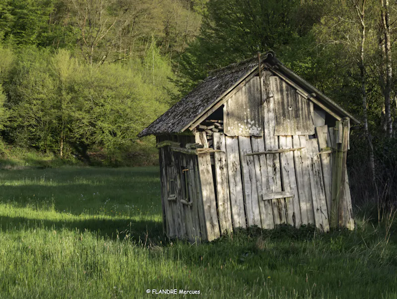 Foto vanOffice du Tourisme de Thuin