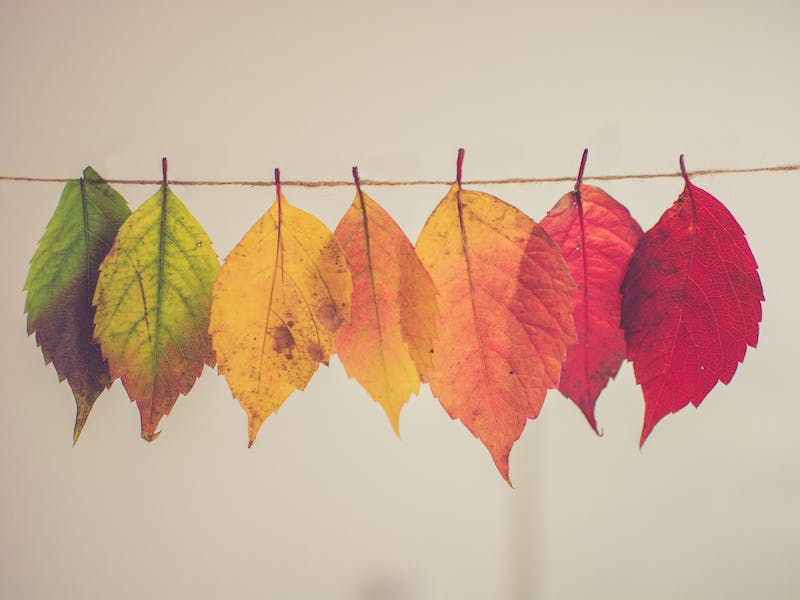 Changements de saison Prenez les bonnes habitudes...