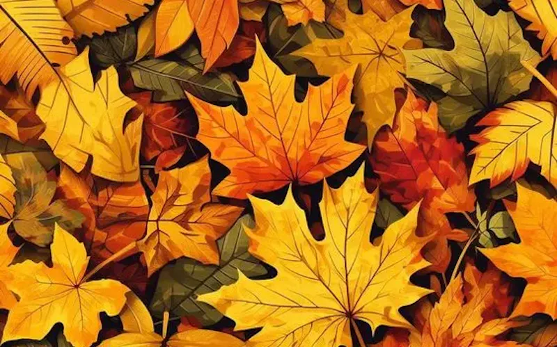 Découvrez la Nouvelle Carte d’Automne du Restaurant 1519 ! 🍂🍽️