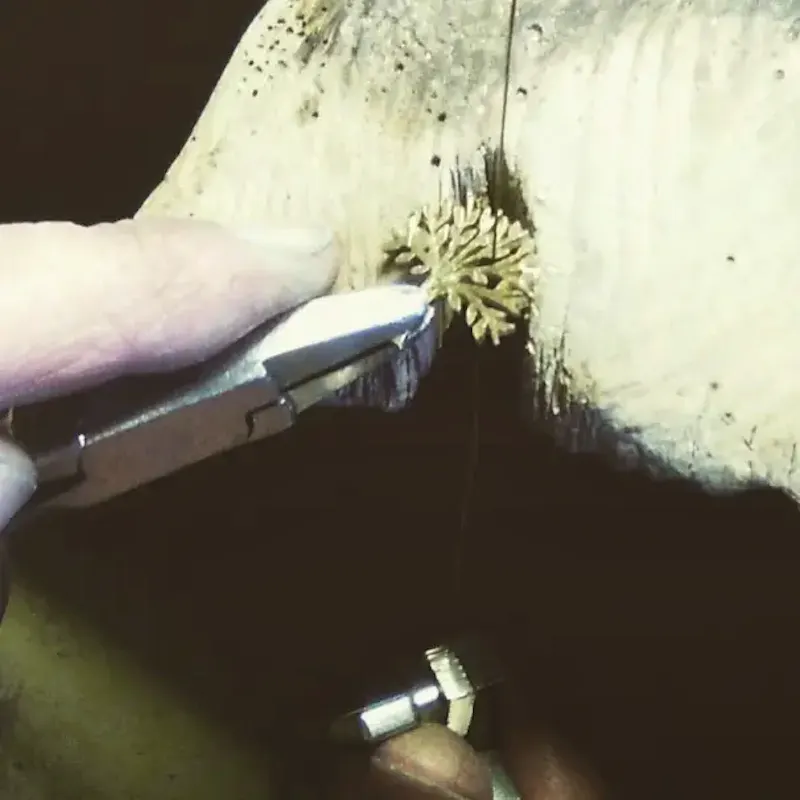 Nous réalisons votre bijou unique… Notre atelier étudie et réalise votre projet, transformez vos anciens bijoux de manière unique.