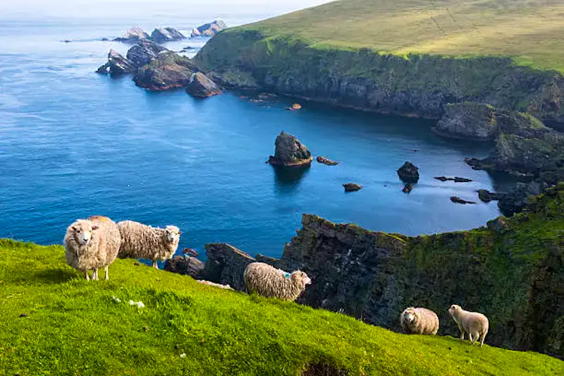 Foto di La Via Giusta, viaggi e turismo