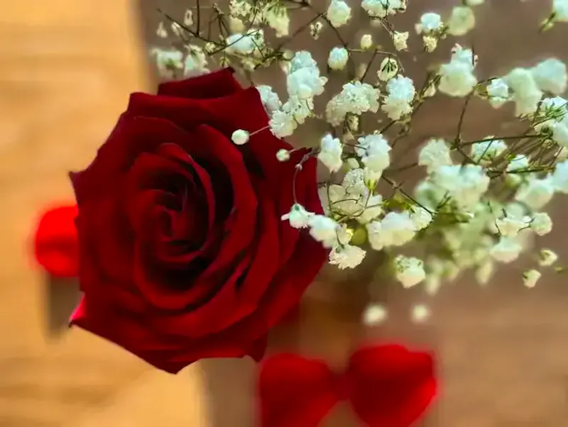 February Offer: The Month of Love