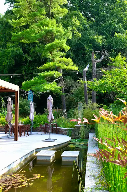 Image of Forest Kitchen