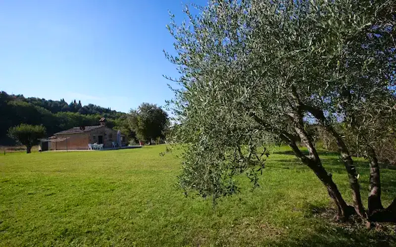 Image of Ristorante Podere La Paolina Image of Ristorante Podere La Paolina