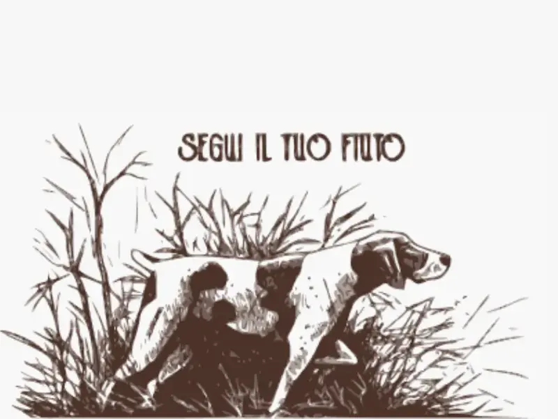 SEGUI IL TUO FIUTO