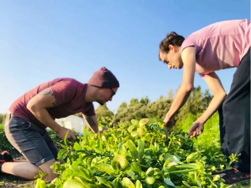 Begin mei neemt Entropy een korte pauze om het ritme van de seizoenen te volgen. Heropening op 21 mei, bij het begin van de zomer — we kijken ernaar uit u opnie