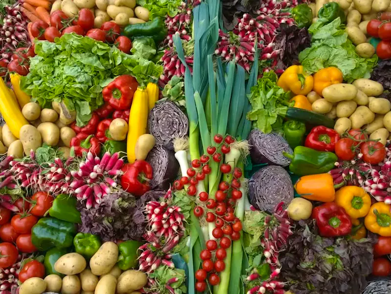 variety of vegetables | Photo by Chantal Garnier, on https://unsplash.com/@chantalgarnier?utm_source=centralapp&utm_medium=referral