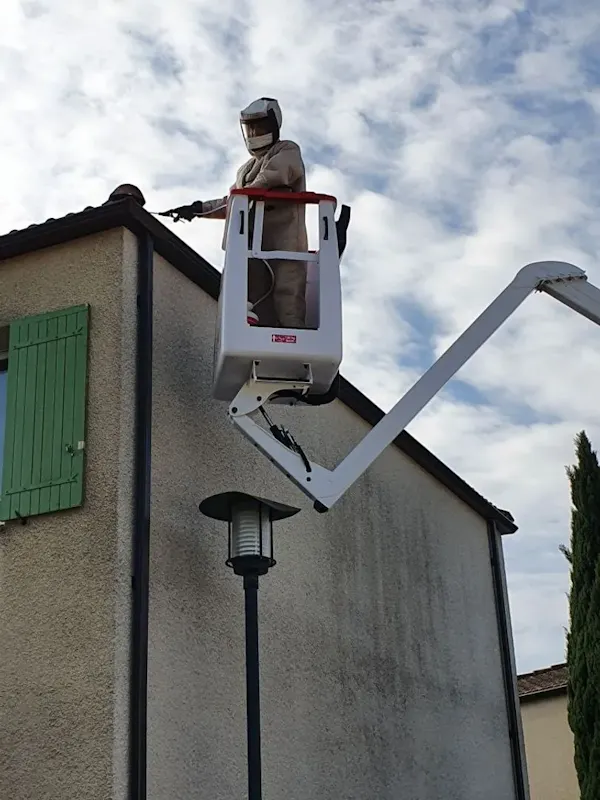 Photo de Guêpes-OUT - Désinsectisation Dératisation Désinfection Avignon