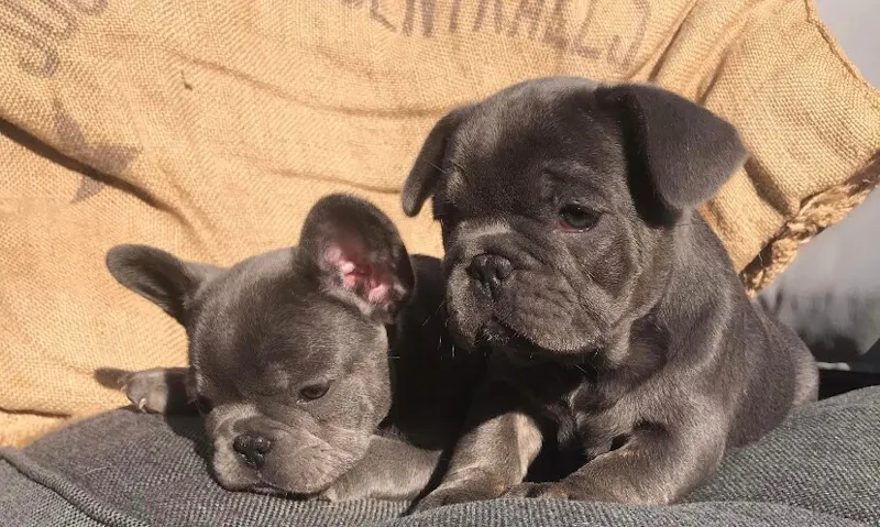 Photo de Mes Jolis Coeurs de Boubou