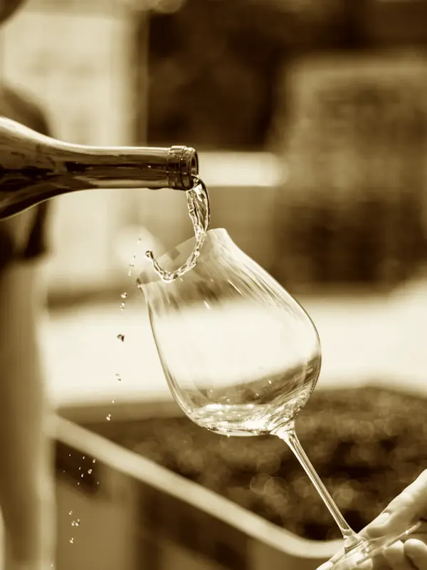 Discover our wines Discover our wines