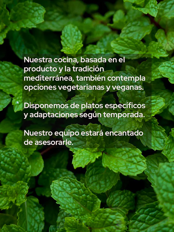 Vegetarian and vegan options