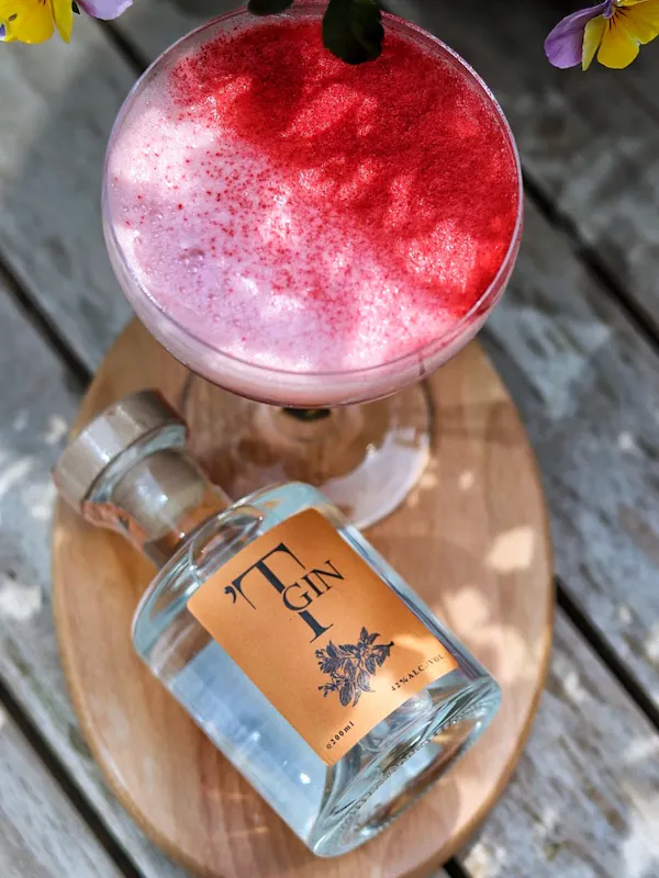 Présentation de T-Gin, une fusion harmonieuse de l'artisanat belge et norvégien